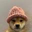 dogwifhat (WIF) 加密货币标志